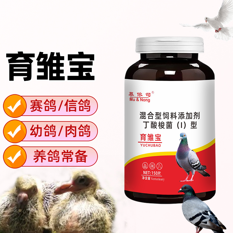 育雏宝鸽子幼鸽专用鸽育宝150片/瓶赛鸽肉鸽鸟类厂家直销