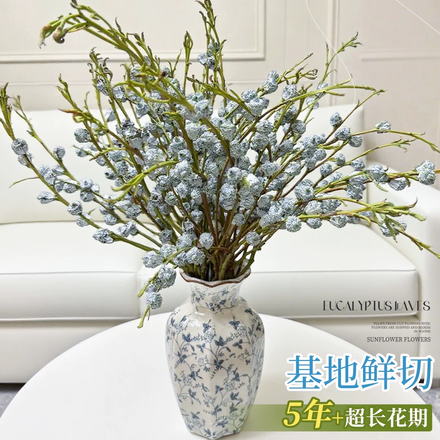 植物尤加利小白果十字果鲜花可以做天然干花家庭卧室造型装饰摆件