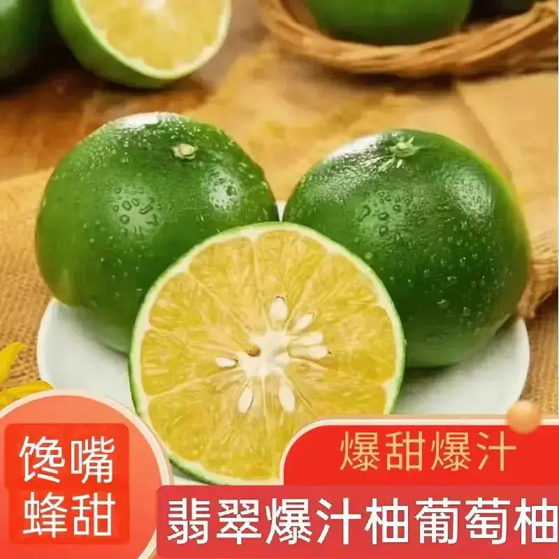 艾顿泽 爆汁翡翠柚清甜多汁新鲜甄选青皮葡萄柚水果装甜蜜正宗