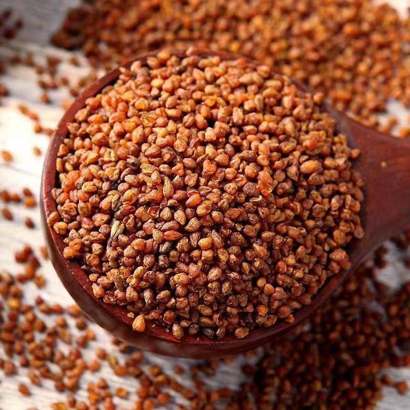 黑苦荞茶健康养生