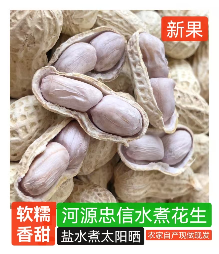 2025（当季鲜果）河源忠信水煮花生好吃不上火有韧性有嚼劲