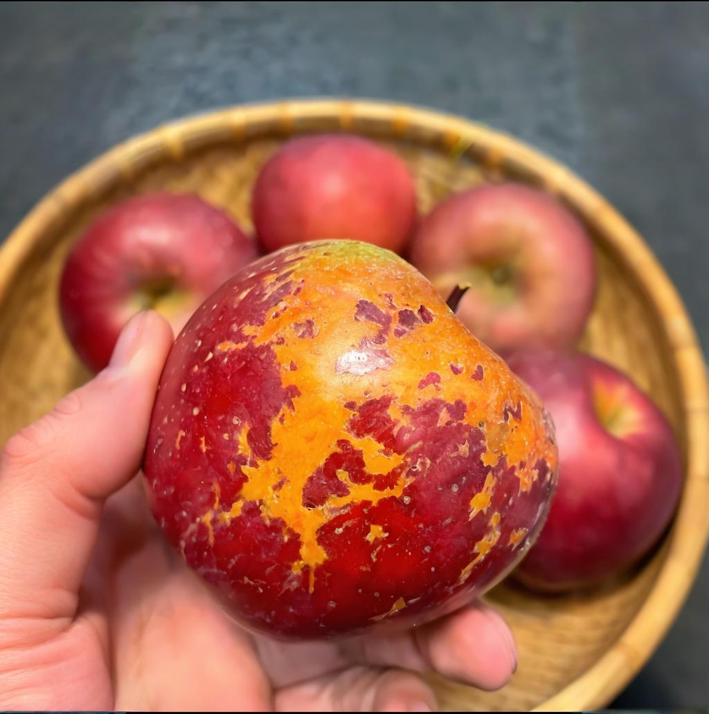 全爸农产品四川大凉山盐源丑苹果水果非红富士冰糖心苹果