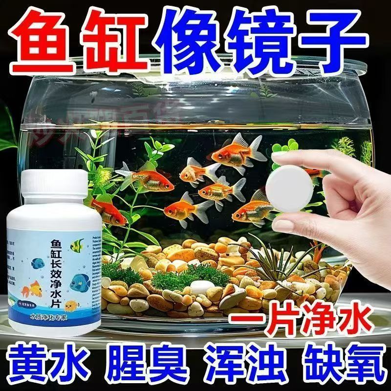 鱼缸净水片净化水质澄清澈除臭去腥水族箱鱼池清水养鱼鱼缸净水剂