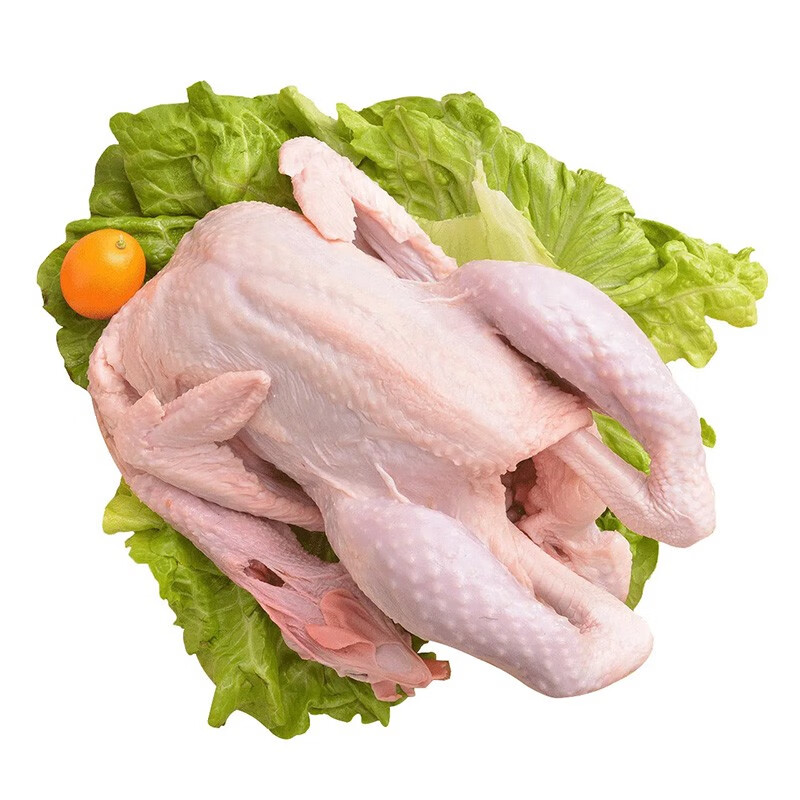 北京油鸡 适合宝宝吃的北京油鸡 600g/只 包冰率10%以内