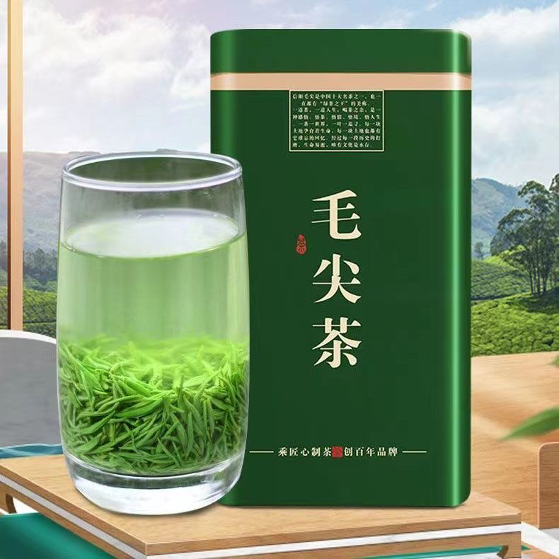 新茶信阳毛尖精选鲜嫩芽浓香型雨前绿茶口感甘甜耐泡