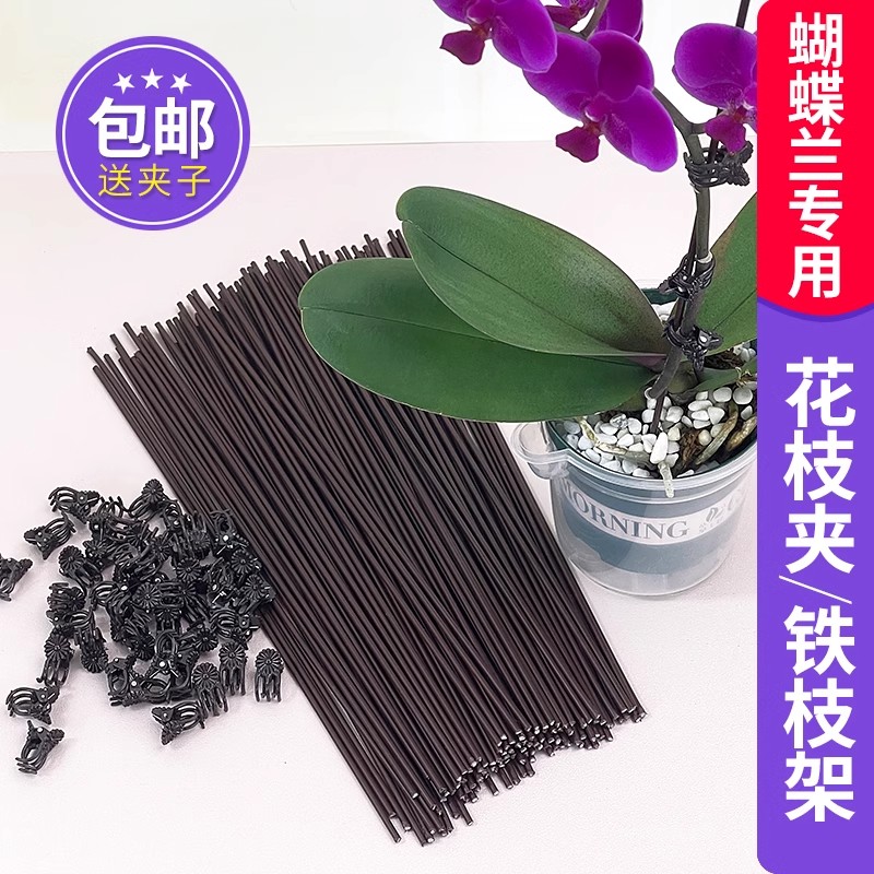 蝴蝶兰支架夹子专用固定爬藤类造型铁丝防倒伏园艺花卉植物支撑杆