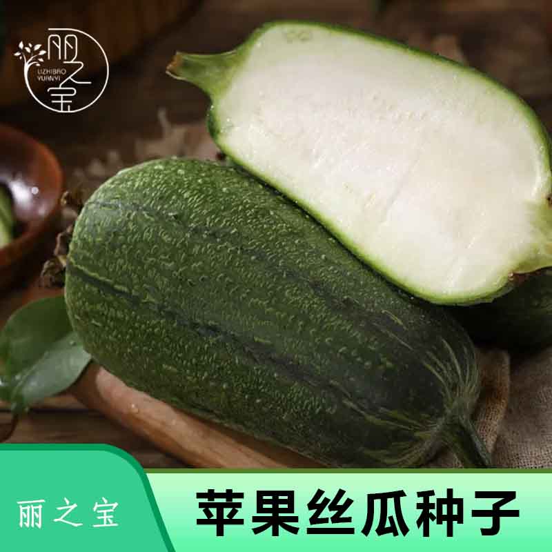 苹果丝瓜种子四季果蔬阳台小院盆栽种植简单