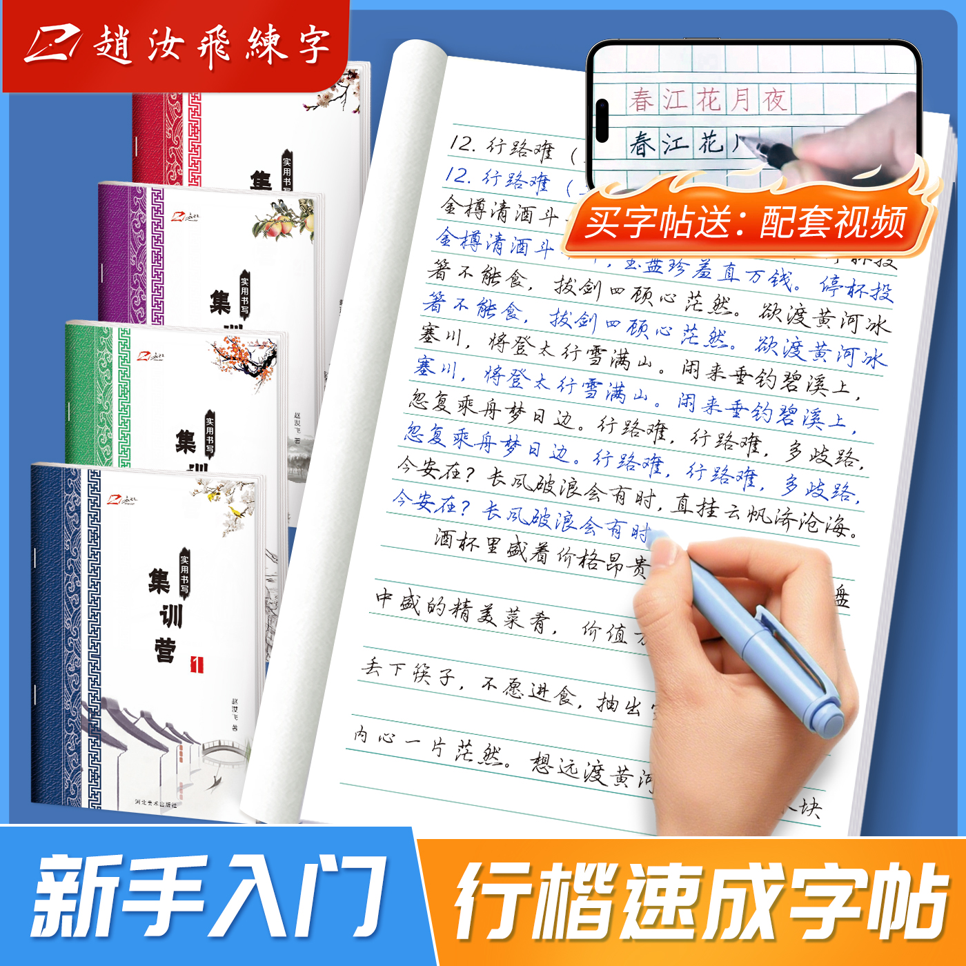 赵汝飞练字行楷中学生硬笔书法字帖练习手写字实用书写写字练字帖