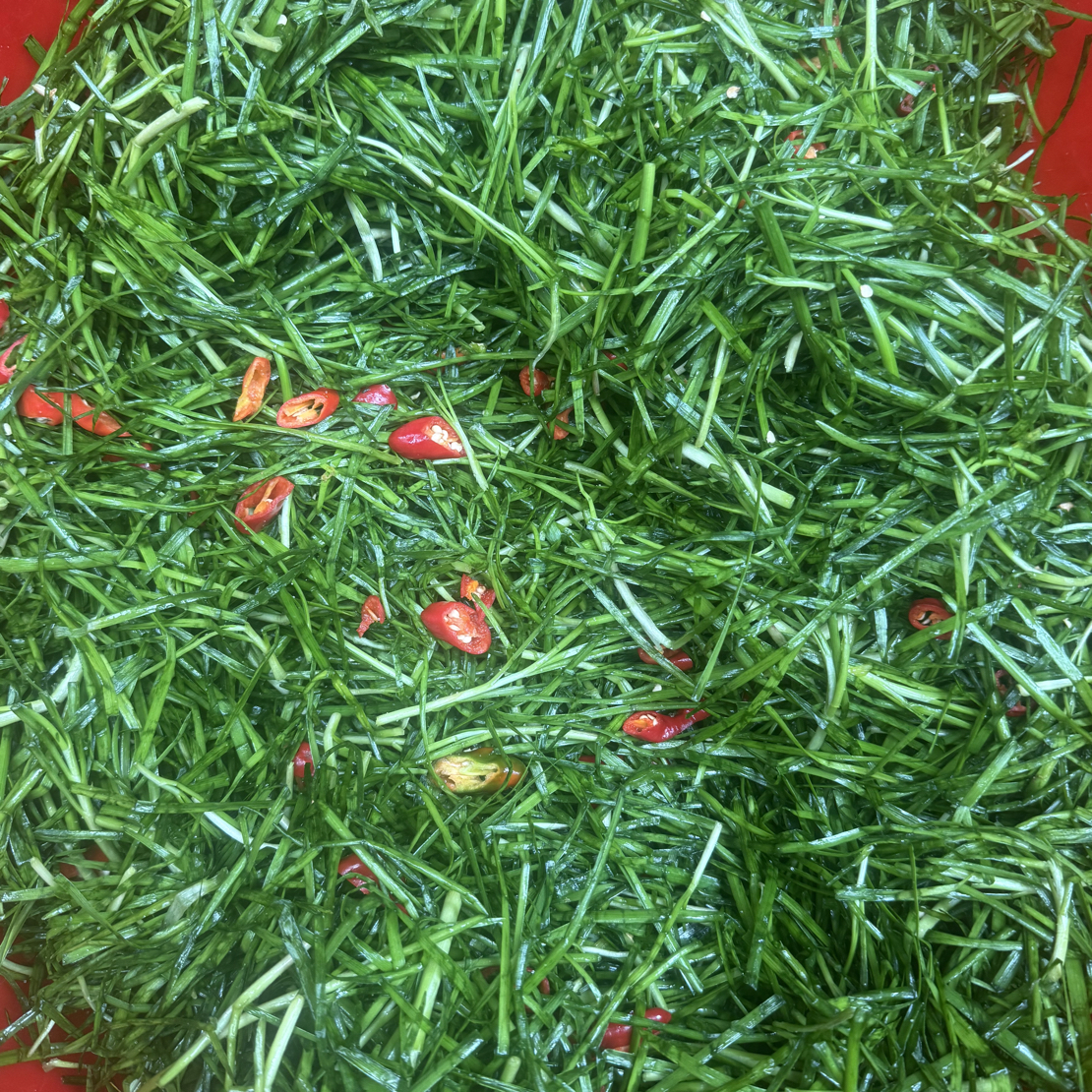 湖北新城新鲜韭菜、辣椒农家揉制（偏远地区运费➕15元）