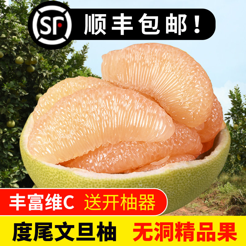 正宗福建莆田度尾文旦柚红心柚子新鲜当季现摘孕妇应季时令10斤装