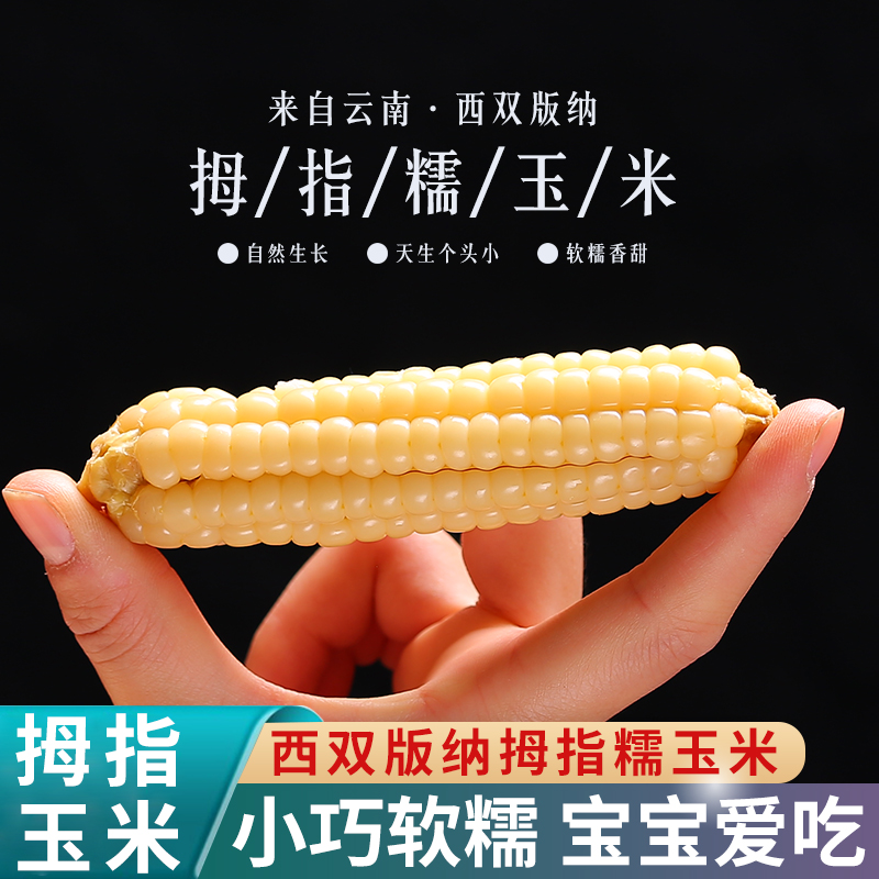 象往农产品 5斤云南西双版纳拇指玉米 健康低脂 营养丰富 糯玉米