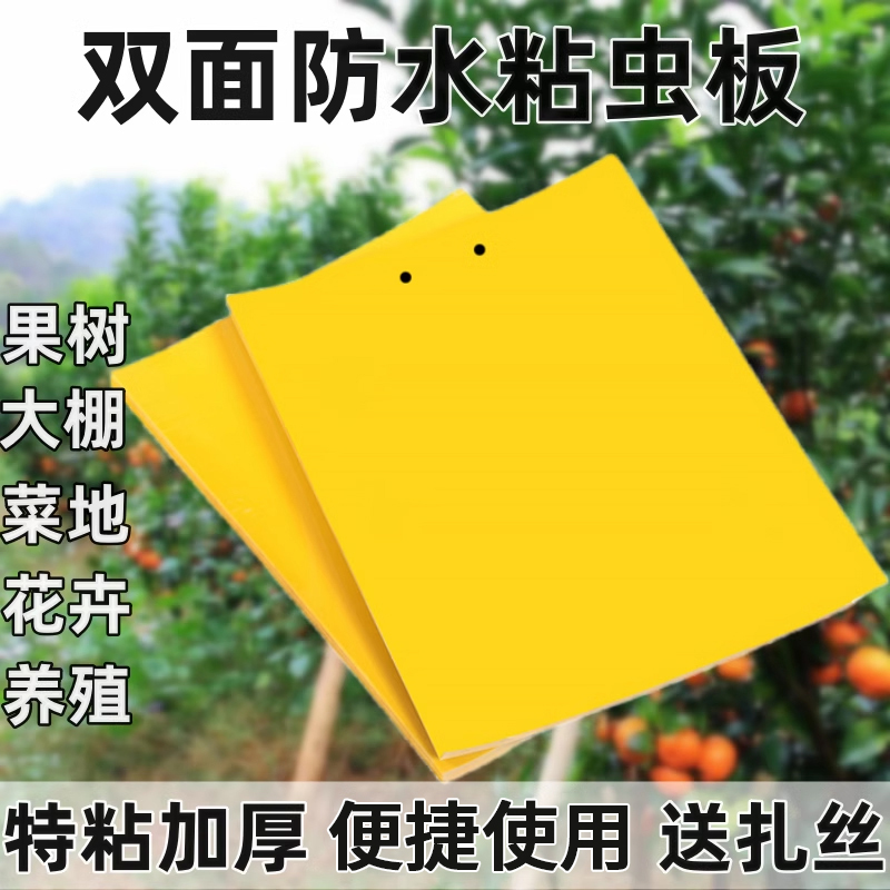 【蚊虫消失】黄板双面粘虫板蓟马纸贴黄蓝飞虫小黑飞果园沾果蝇诱捕