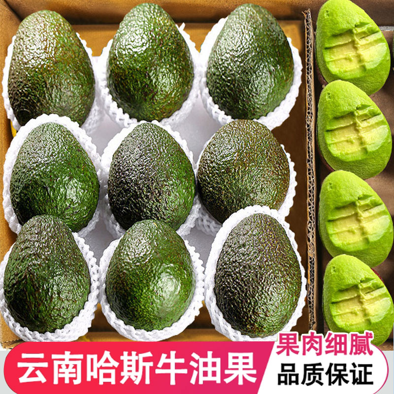 云南哈斯牛油果新鲜当季国产水果非进口牛油果大果婴儿辅食孕妇