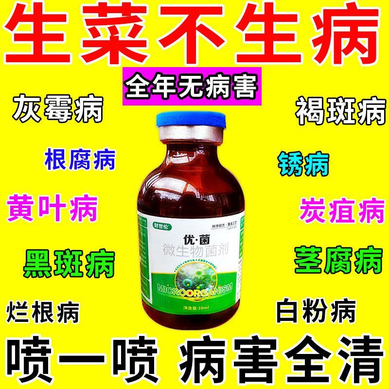 生菜专用药病害清生菜软腐病霜霉叶焦病死苗烂根病全治抗病杀菌剂