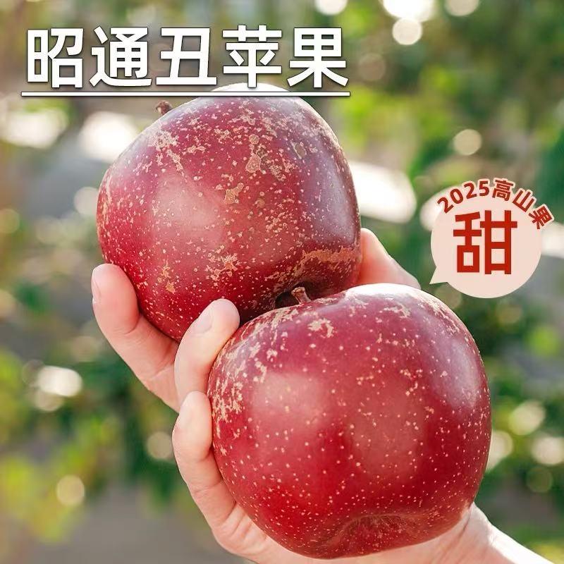 正宗云南昭通丑苹果冰糖心苹果新鲜应季水果红富士脆甜多汁现摘
