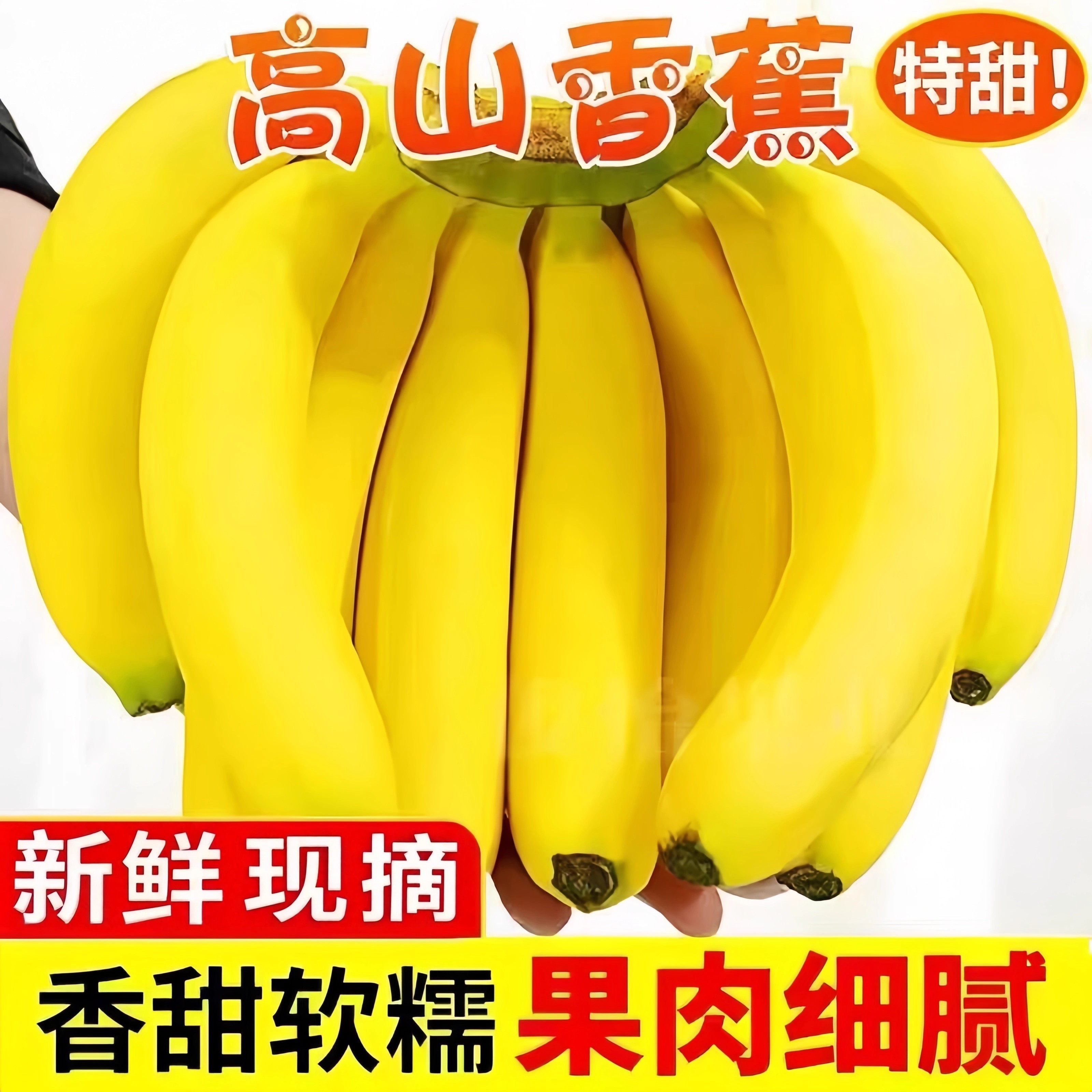 正宗广西高山香蕉青皮甜口苹果蕉新鲜现摘自然熟时令水果香甜可口