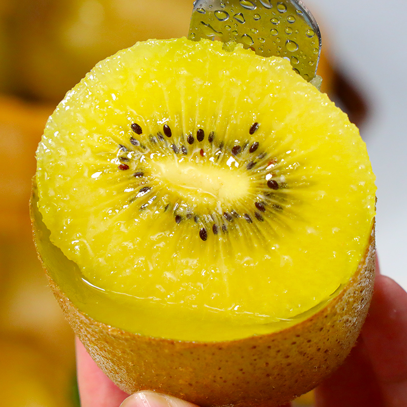 【自然搭档】四川浦江黄心猕猴桃15-20枚当季新鲜水果单果70-130g