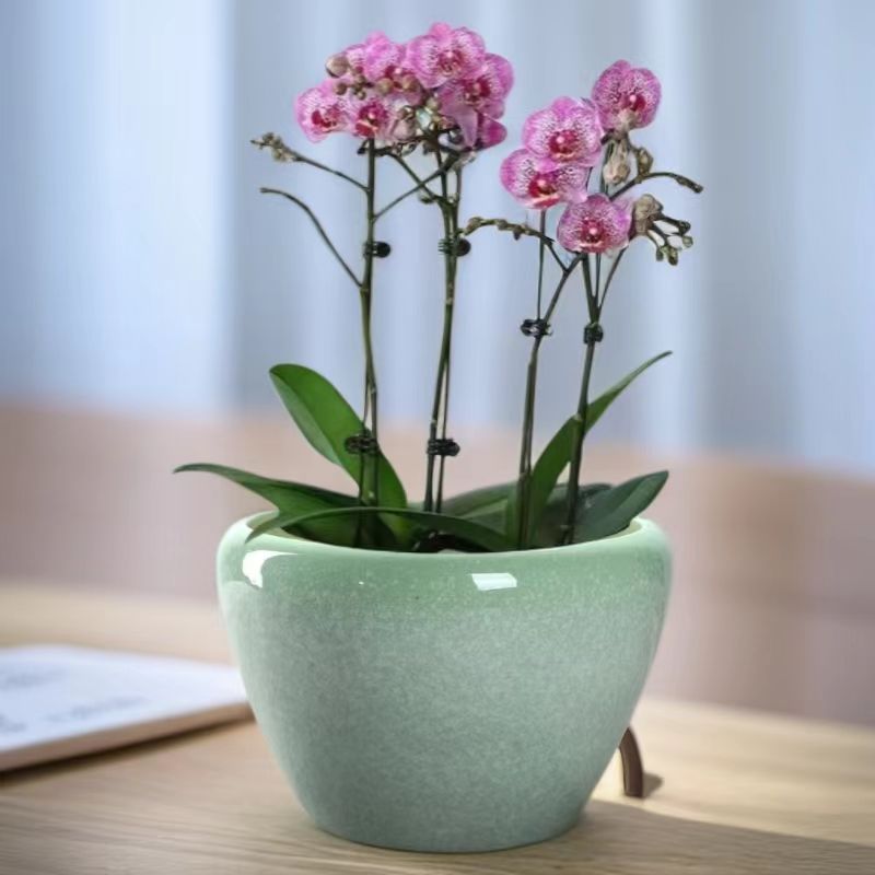 北欧风格特陶瓷花盆大口径花盆适用于室内外发财树绿萝盆栽