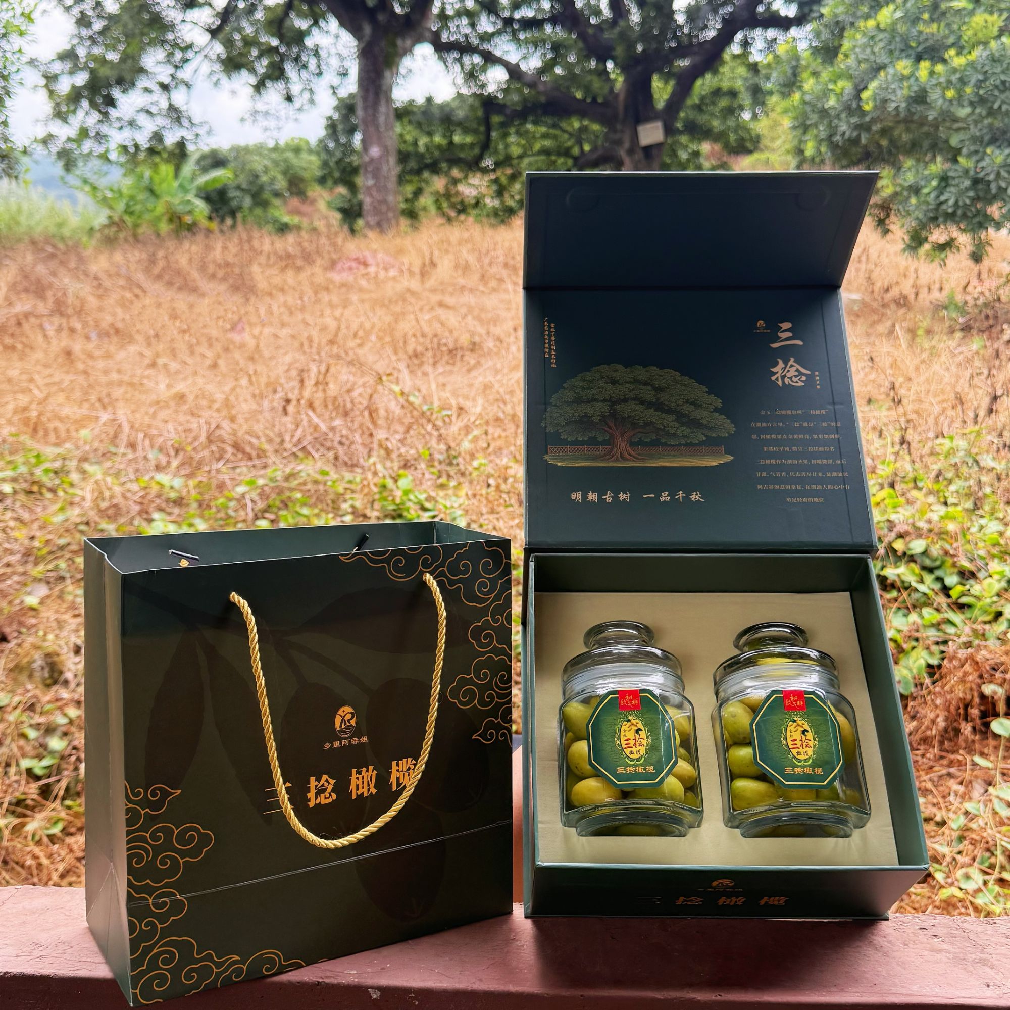 乡里阿蓉【379年官安三捻橄榄】潮汕特产金灶新鲜金灶三捻金灶三棱