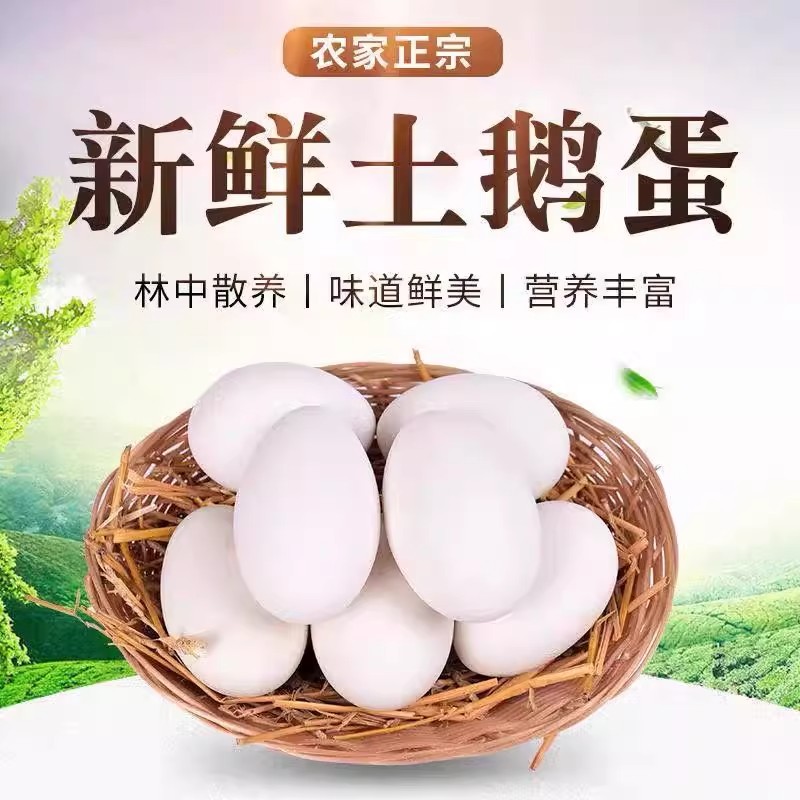 正宗农家散养新鲜现捡土鹅蛋孕妇宝宝适用纯天然