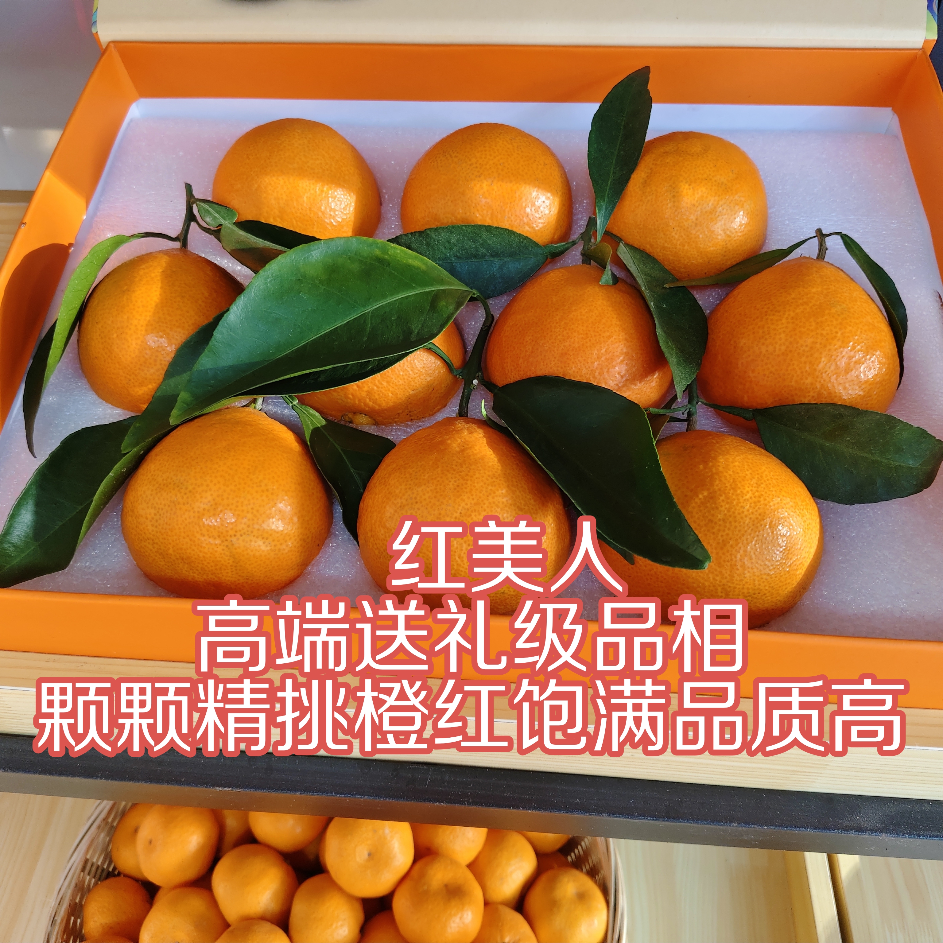 人气新品台州发货【红美人】柑橘蜜桔果冻橙新鲜现摘高档礼品盒装