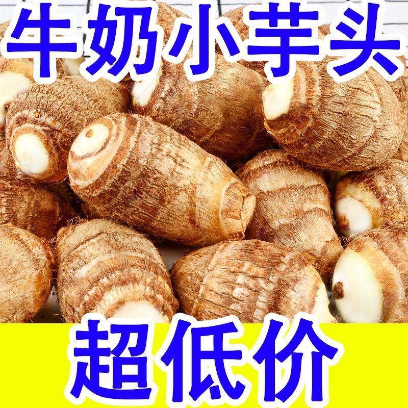 新鲜芋头小芋头芋艿香芋农家自种粉软糯牛奶小芋头毛芋头应季蔬菜