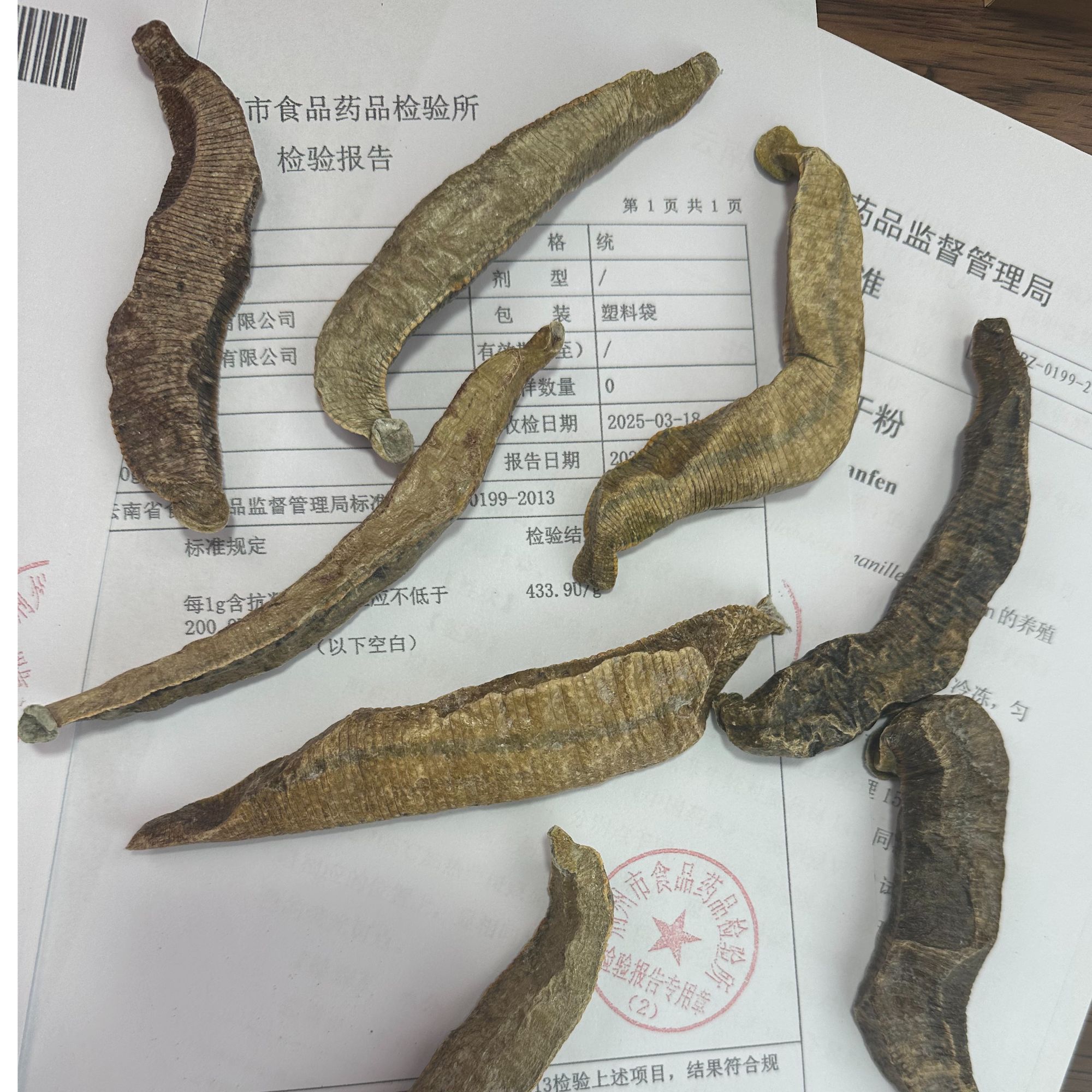 精选广西 菲牛水蛭冻干粉