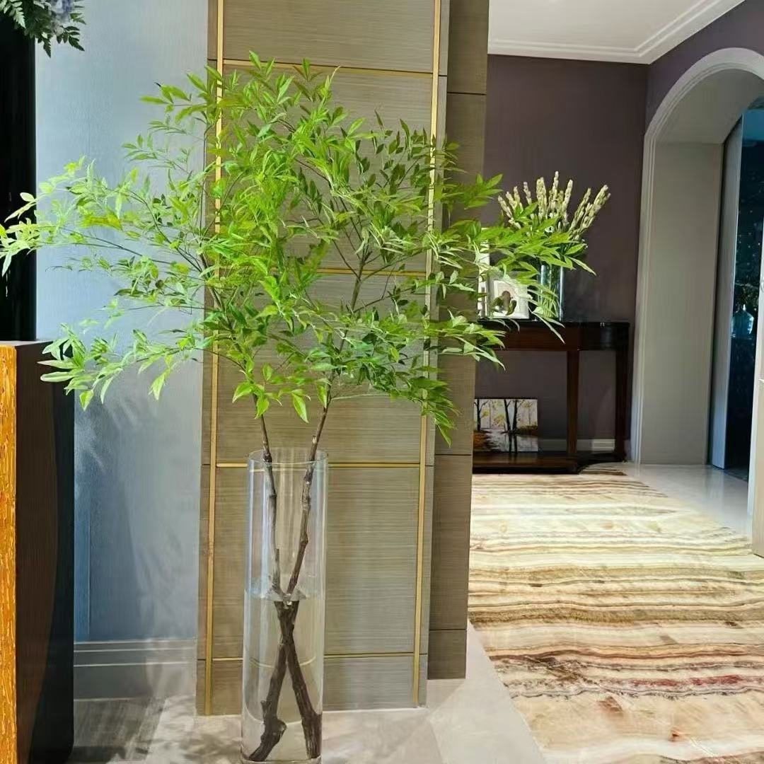 南天竹水培植物水养室内桌面吊钟马醉木平替绿植