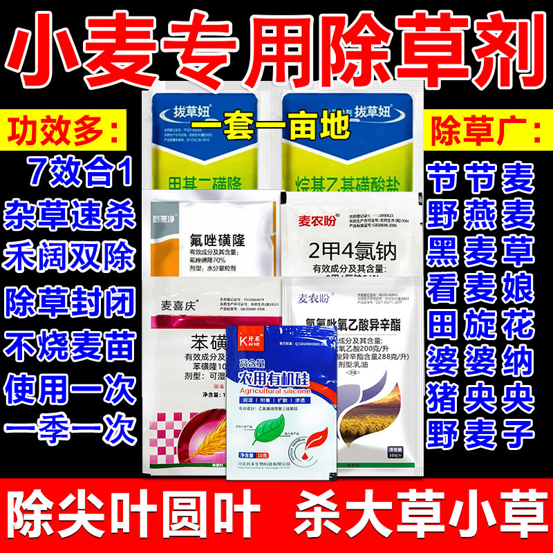 小麦田杂草剂小麦田苗后专业治草节节麦野燕麦打下高产基础少肥料
