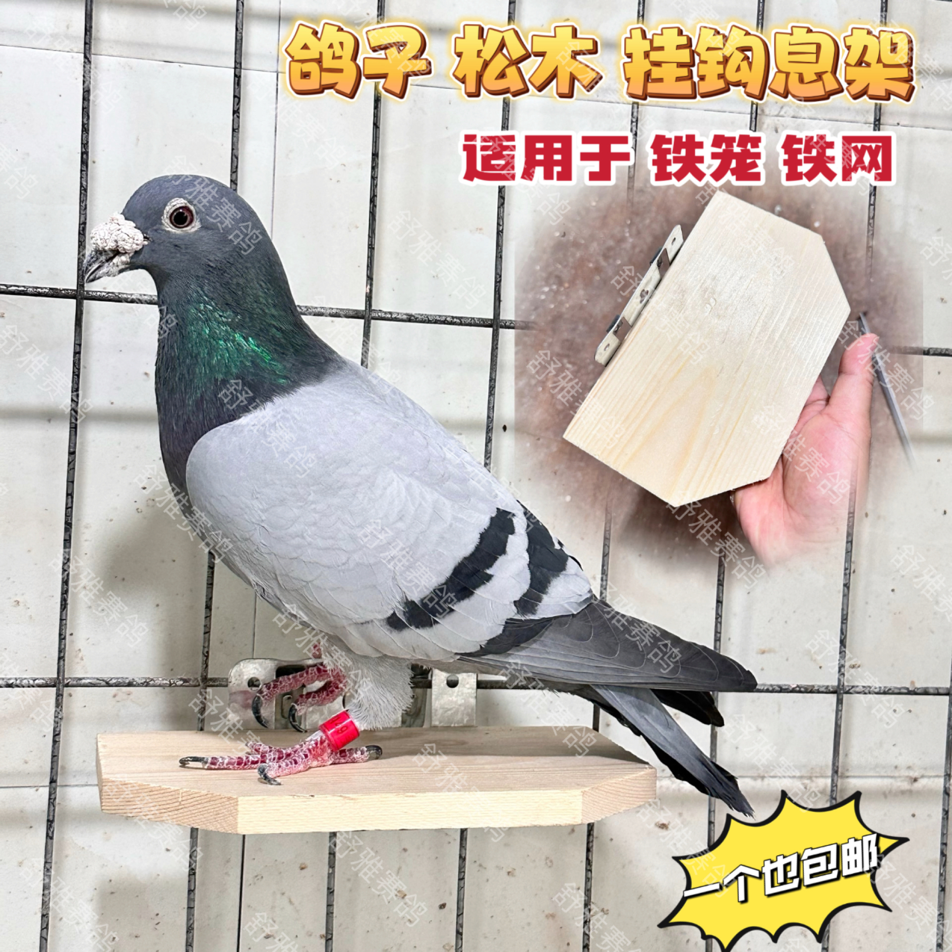 鸽子松木挂钩息架 铁笼 铁网 信鸽赛鸽 站架 休息架