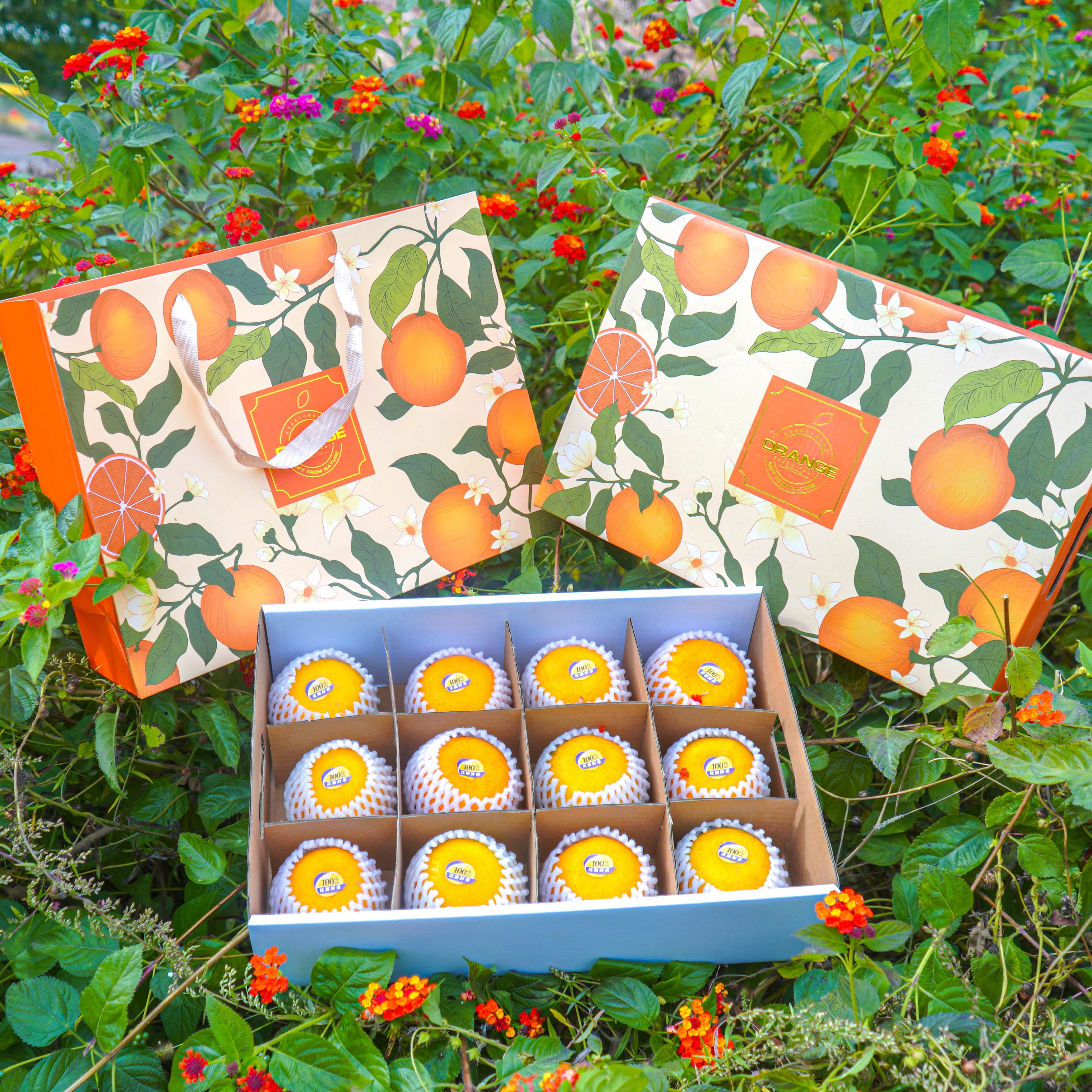 新鲜漳河蜜橘现采现发本地橘园薄皮爆汁橘子无籽蜜桔高端礼盒送礼