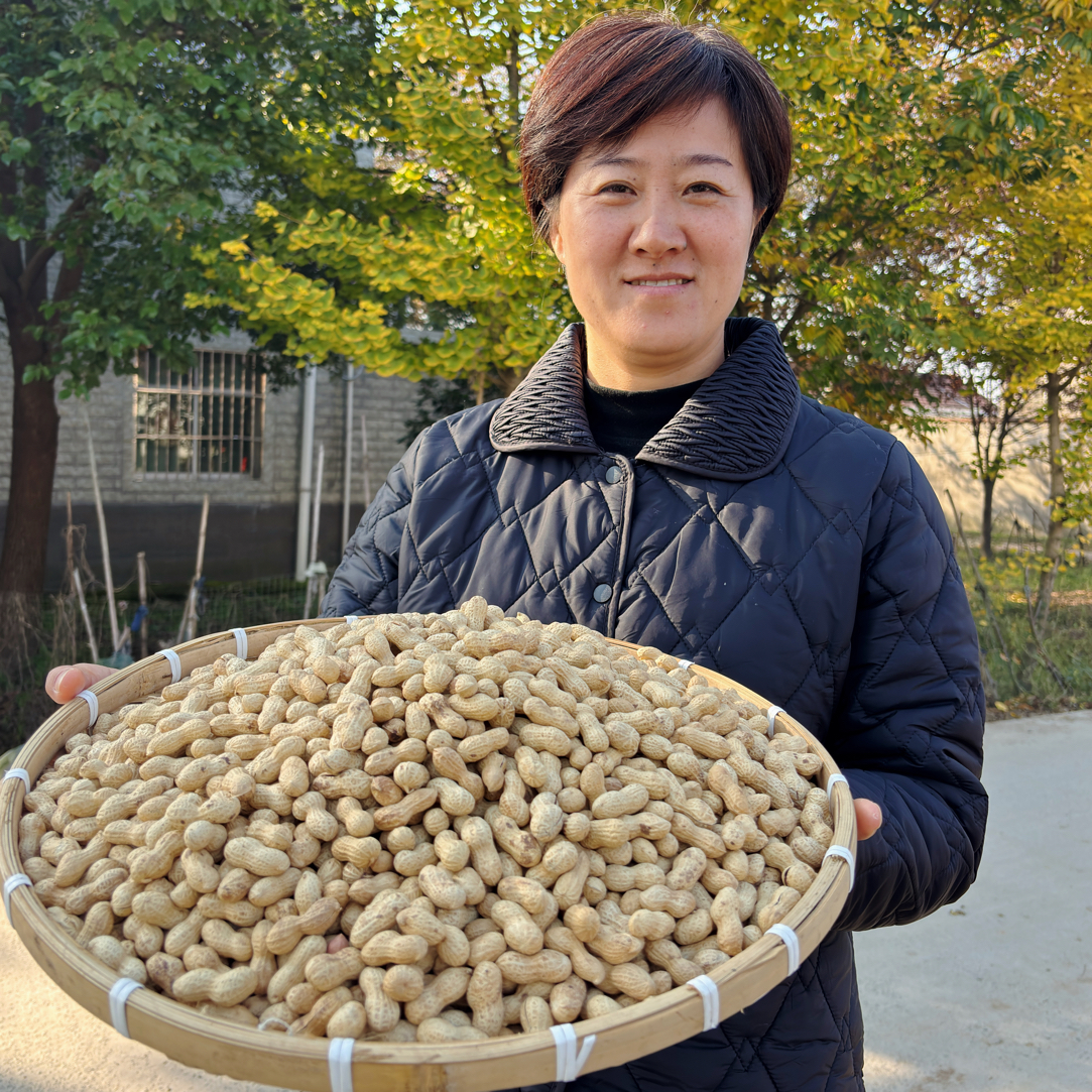 现炒带壳原味小金果花生 香酥追剧休闲下酒零食
