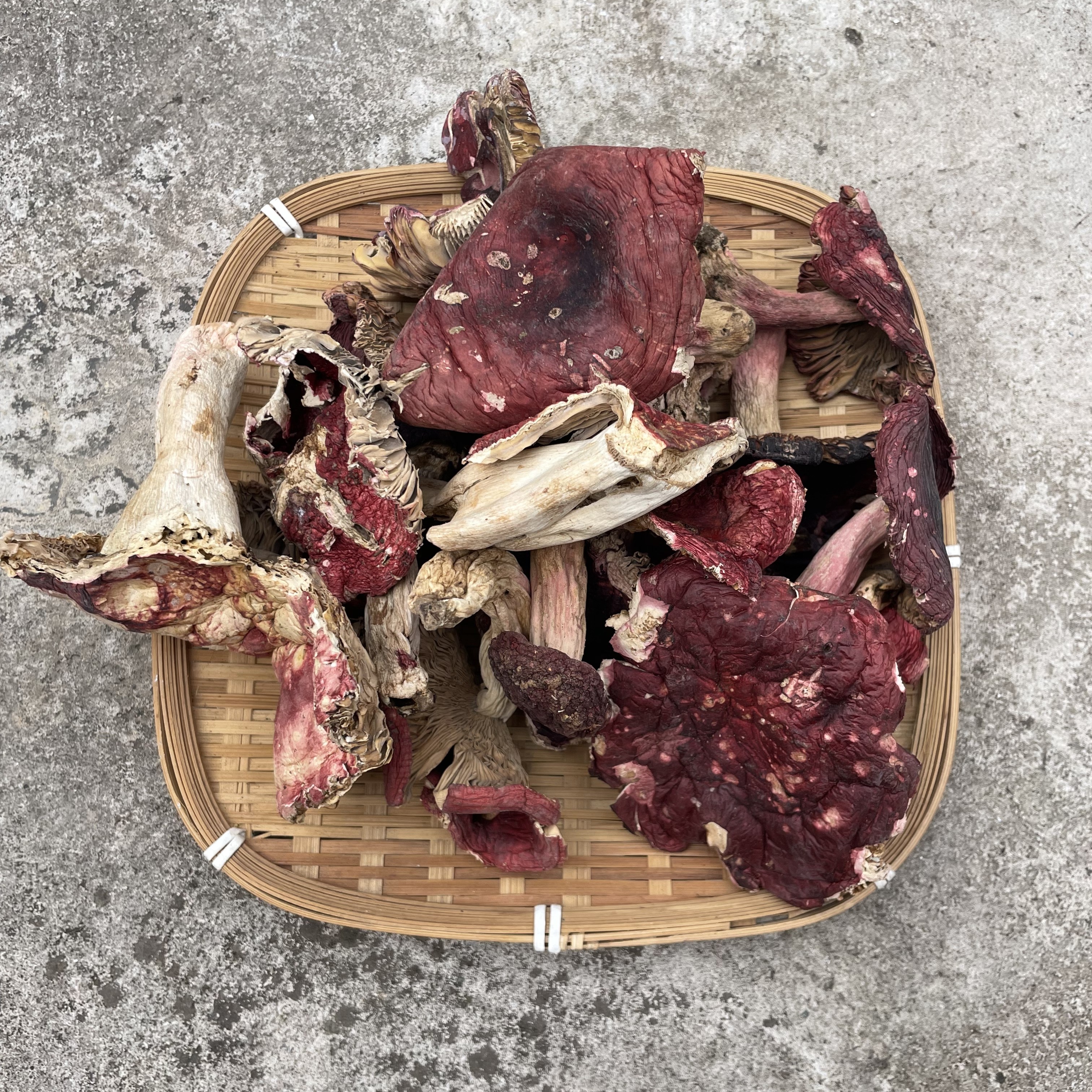 云南野生红菇鲜美干货大朵正宗土特产正宗原始森林野生山货红蘑菇