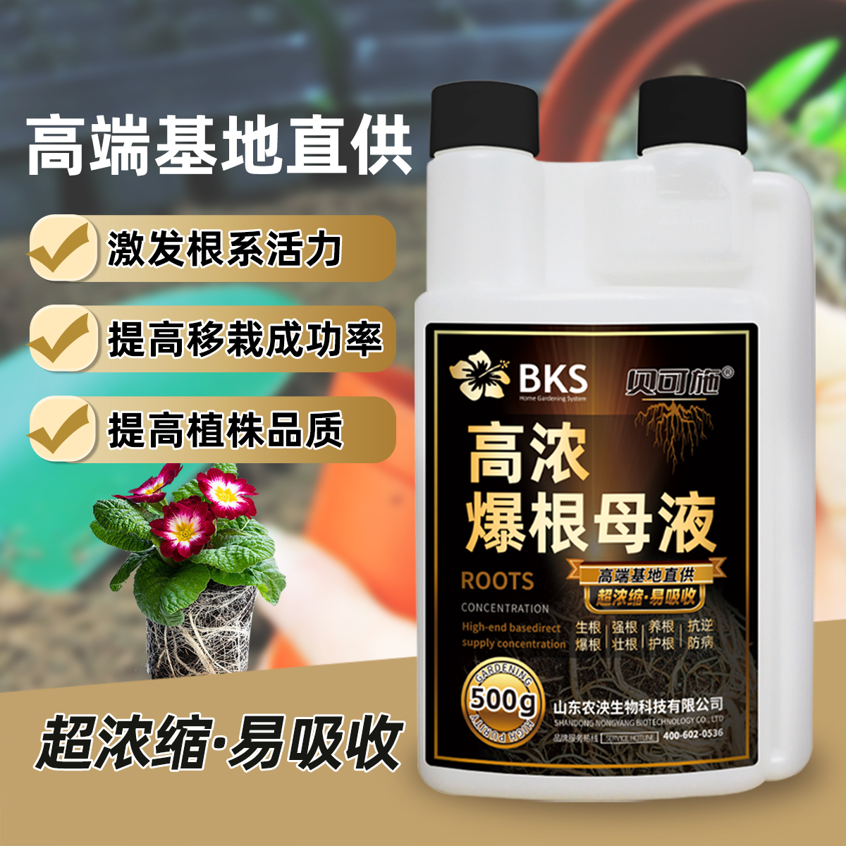 【乐池粉丝专享】贝可施高浓爆根母液快速生根粉爆根发根扦插500g