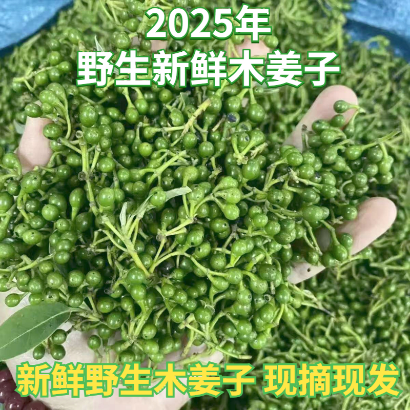 现摘湖南野生木姜子新鲜山胡椒山苍子辣椒酱去腥提香酸汤鱼下饭菜