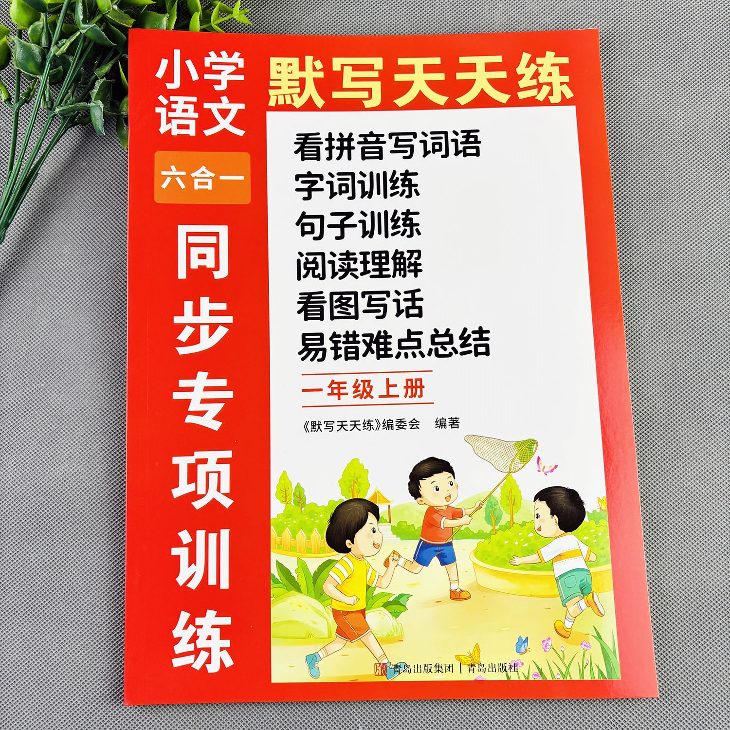 一年级上册练习册看拼音写词语字词训练句子训练阅读理解看图写话