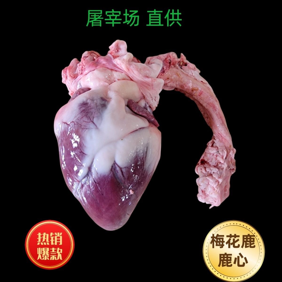 梅花鹿心正宗整只新鲜可用于炖汤红烧卤菜营养