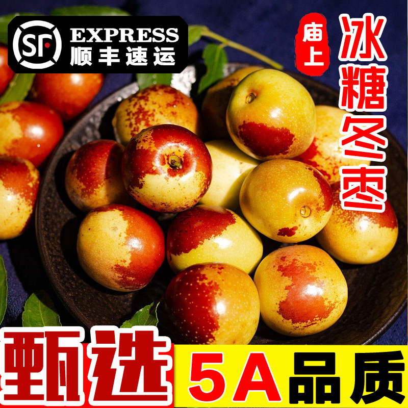 【顺丰包邮】树上熟头茬庙上冬枣新鲜现摘脆甜多汁当季特大号冬枣