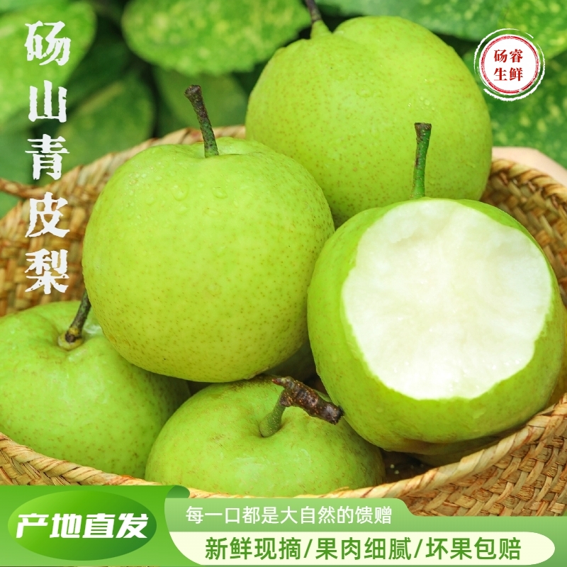 正宗砀山皇冠梨青皮梨脆甜多汁皮薄肉厚无渣新鲜孕妇水果产地直发