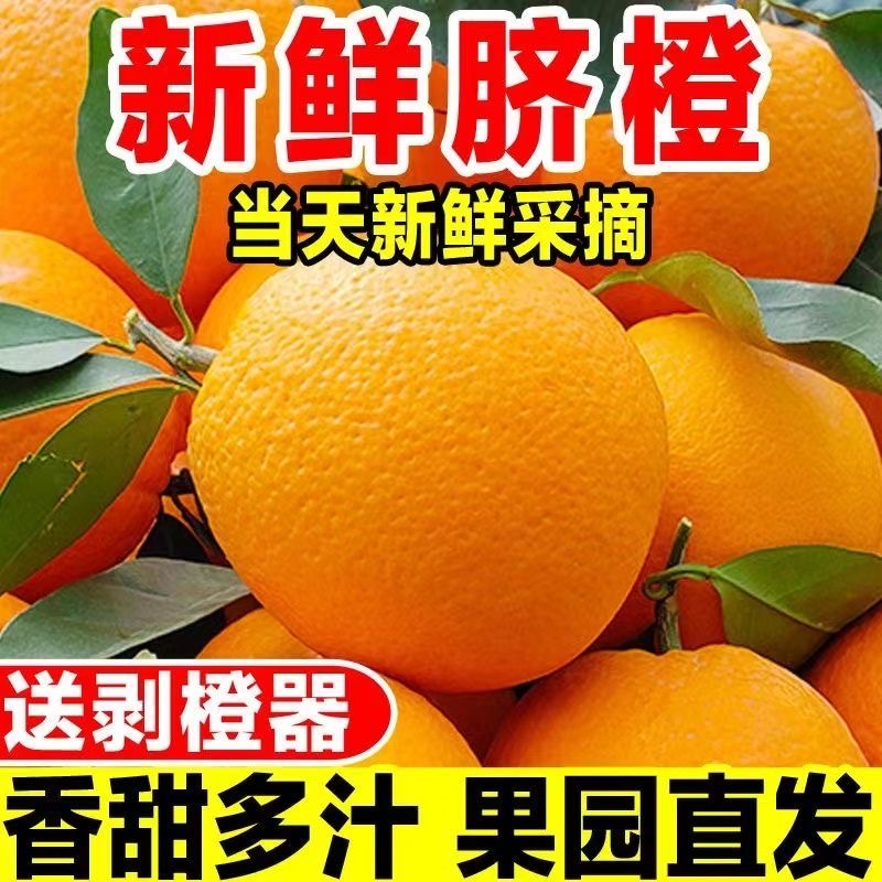 【双12特惠】江西赣南脐橙当季脐橙手剥橙现摘新鲜孕妇水果橙子
