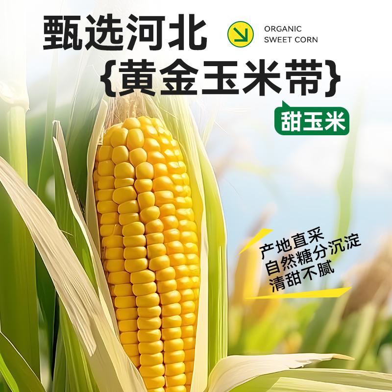 【直播专属】摘养鲜榨玉米汁玉米谷物粗粮早餐