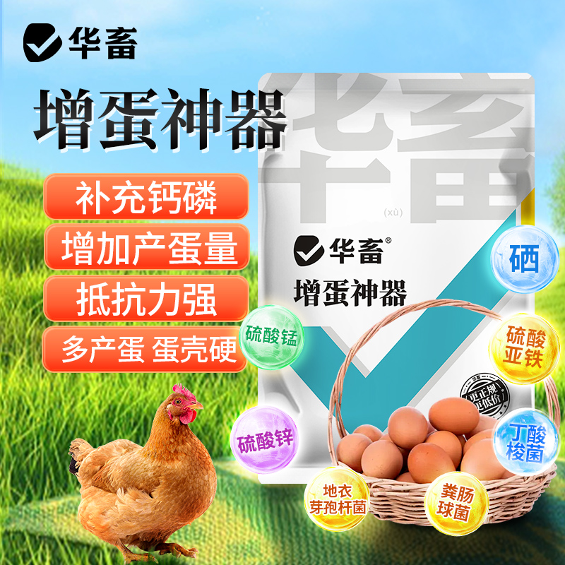 增蛋宝蛋禽饲料添加剂蛋多多催蛋多下蛋延长产蛋期鸡鸭鹅鹌鹑S