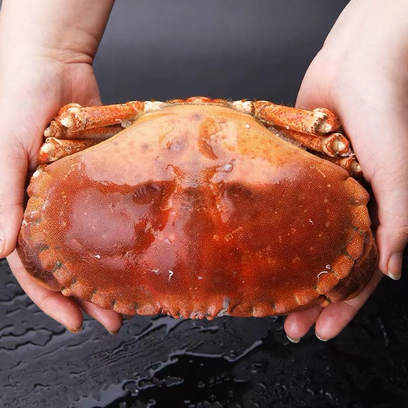 （非真空包装）  熟冻面包蟹 黄道蟹 黄金蟹  膏蟹