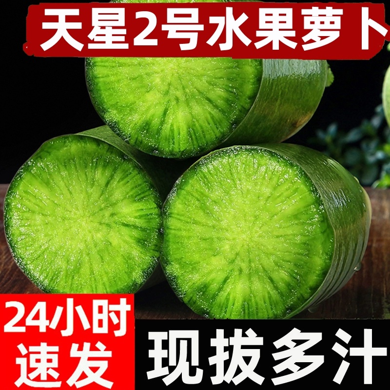 天星2号水果萝卜，嘎嘣清脆，入口回甘，现拔现发，顺丰/京东包邮