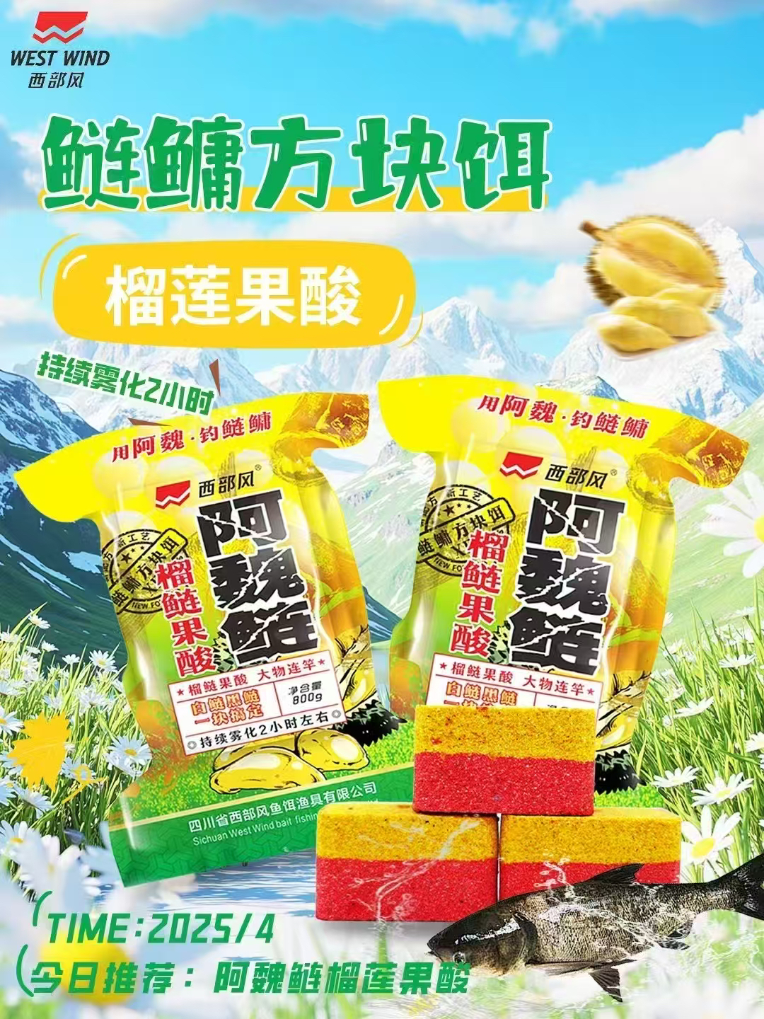 西部风阿魏酸臭鲢专钓鲢鳙通用饵料优选钓鱼快速鲢鳙方块饵制作