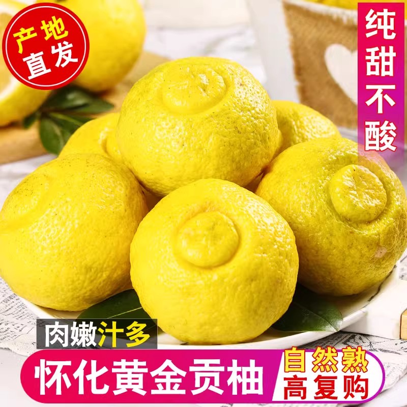 湘西岩垅黄金贡柚象山青柑橘新鲜爽口春香桔柚怀化手剥橙清甜无酸