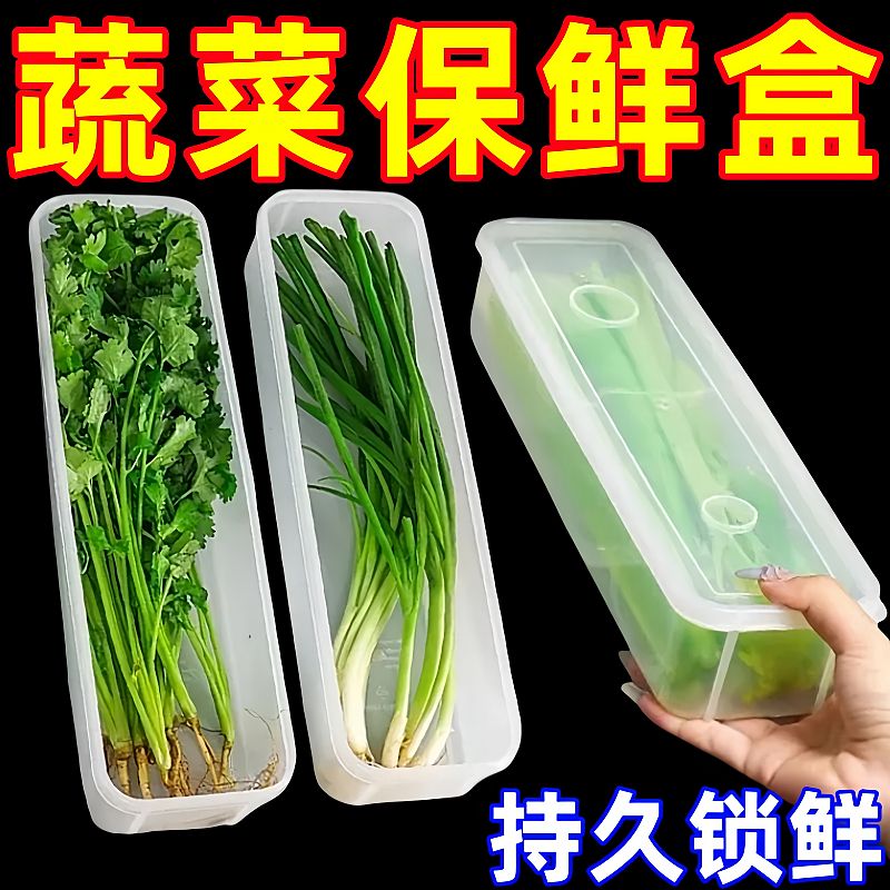 日本进口香菜小葱收纳盒冰箱芫荽整根保鲜神器食品级面条鸡蛋备菜
