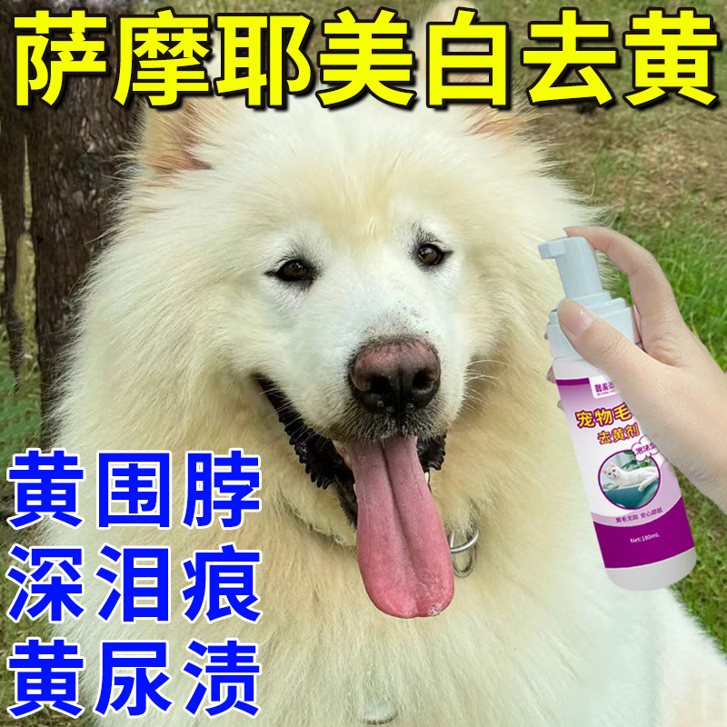 萨摩耶美白去黄剂祛泪痕氧化变祛黄围脖黄尿渍免水洗毛发增白慕斯