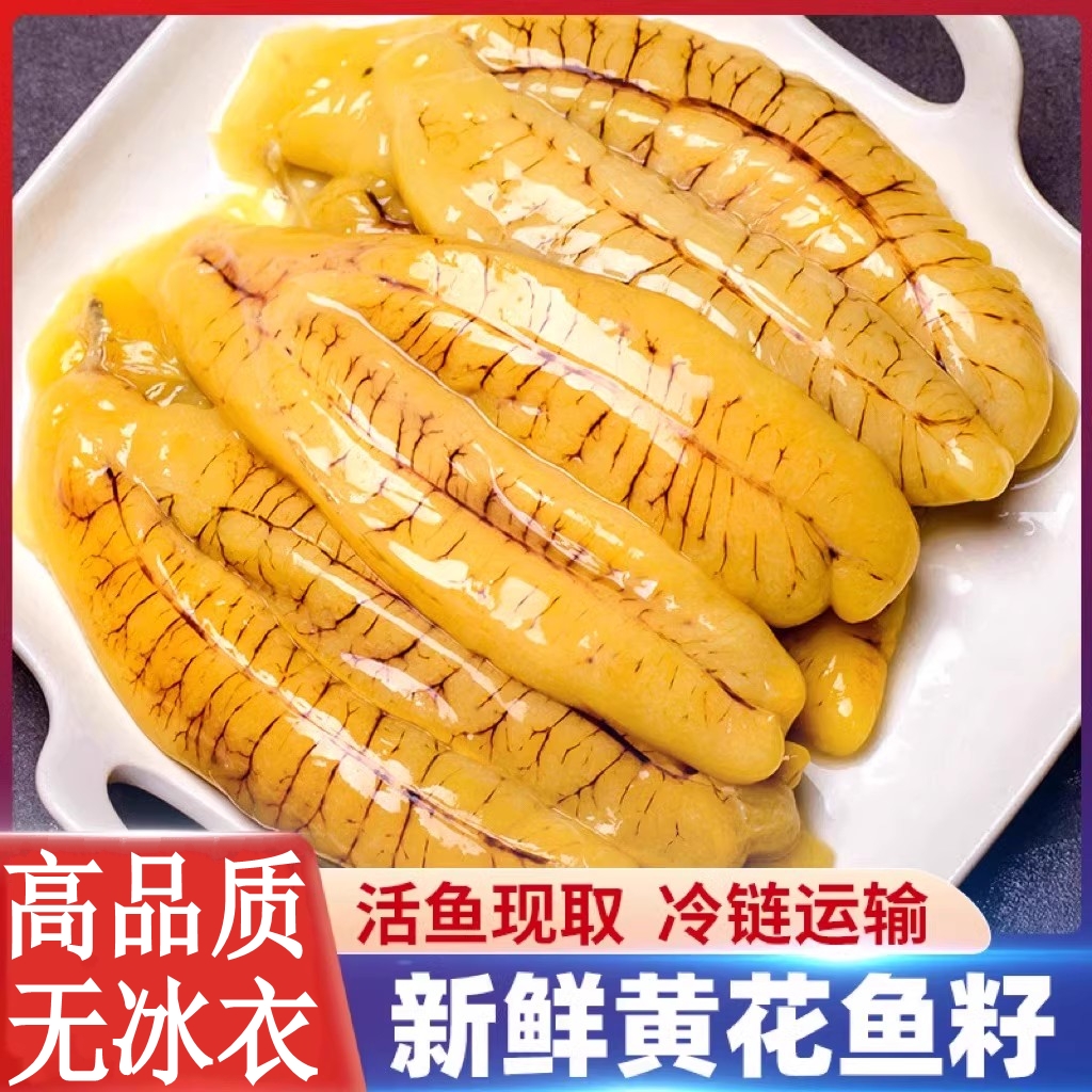 黄花鱼籽新鲜超大鱼泡鱼子鱼肚鱼白鱼膘鱼杂鲜活海鲜水产鱼籽冷冻