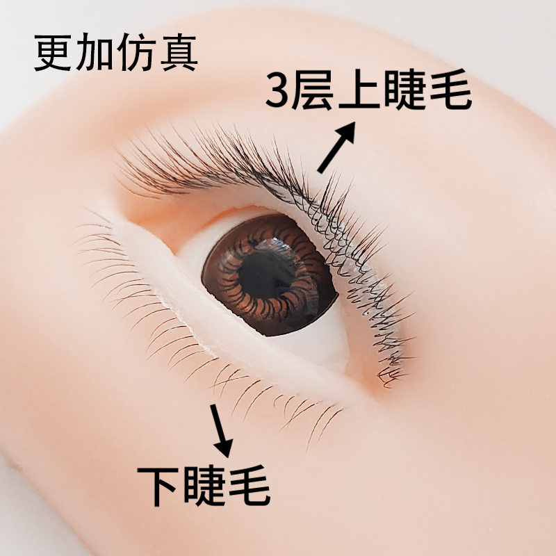 5D仿真假睫毛模块美睫培训新手练习用三层练习模特头